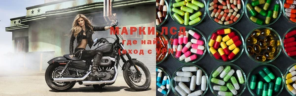 PSILOCYBIN Баксан