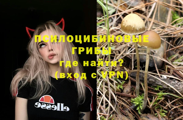 PSILOCYBIN Баксан